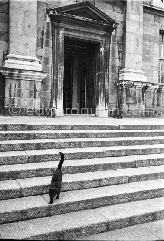 ln the grounds of Dublin University Trinity College. Dublin 1963 - Photo by Edward Quinn