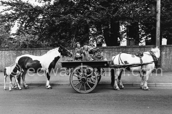 Travellers near Stillorgan. Dublin 1963. - Photo by Edward Quinn