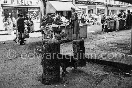 Market stall. Camden Street Lower. Dublin 1963. - Photo by Edward Quinn