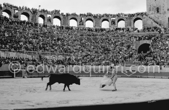 Julio Aparicio. Arles 1960. A bullfight Picasso attended (see "Picasso"). - Photo by Edward Quinn