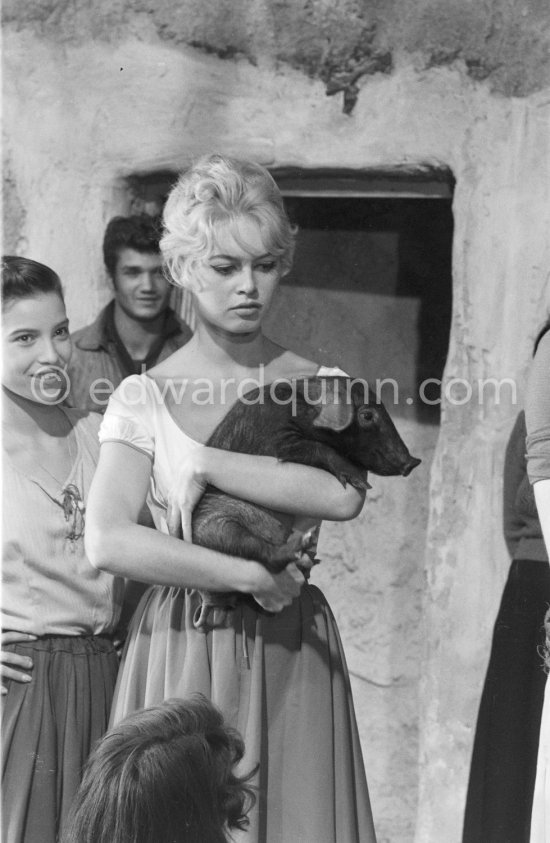 Brigitte Bardot holding a baby pig during the shooting of "Les Bijoutiers du clair de lune" ("The Night Heaven Fell"), on the grounds of the Studios de la Victorine in Nice. Directing was Brigitte’s ex-husband Roger Vadim. Nice 1958. - Photo by Edward Quinn