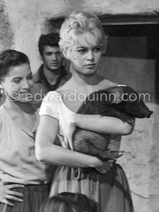 Brigitte Bardot holding a baby pig during the shooting of Les Bijoutiers du clair de lune (The Night Heaven Fell), on the grounds of the Victorine Film Studios in Nice. Directing was Brigitte’s ex-husband Roger Vadim. Nice 1958. - Photo by Edward Quinn