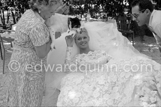 Brigitte Bardot and Guapa, Spanish for pretty girl. Guapa had a Spanish name because she was rescued in Spain from children who abused her on the street. Brigitte Bardot adopted her and she became her beloved companion for the following 15 years. During filming of Voulez-vous danser avec moi? (Come Dance with Me!), Nice 1959. - Photo by Edward Quinn