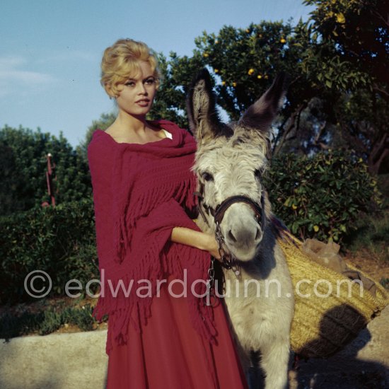 Brigitte Bardot with a donkey and her mixed breed Guapa during filming of "Les bijoutiers du clair de lune" ("The Night Heaven Fell"). Studios de la Victorine, Nice 1958. - Photo by Edward Quinn