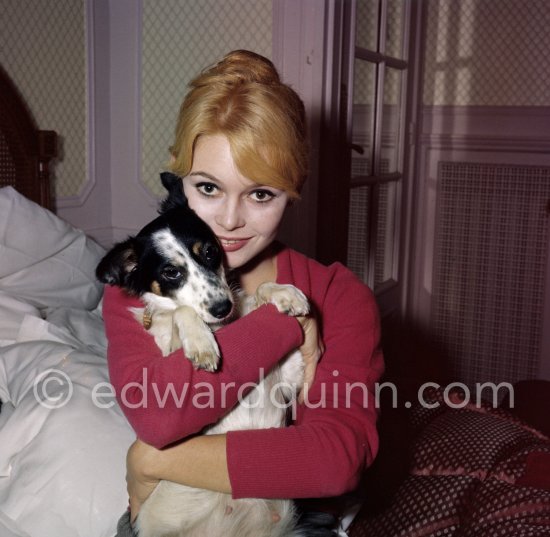 Brigitte Bardot with her mixed breed Guapa at the Hotel Negresco. Nice 1958. - Photo by Edward Quinn