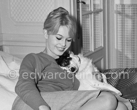 Brigitte Bardot with her mixed breed Guapa at the Hotel Negresco. Nice 1958. - Photo by Edward Quinn