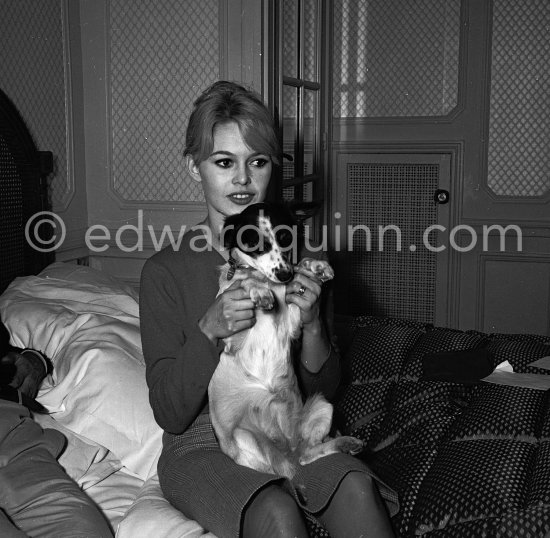 Brigitte Bardot with her mixed breed Guapa at the Hotel Negresco. Nice 1958. - Photo by Edward Quinn