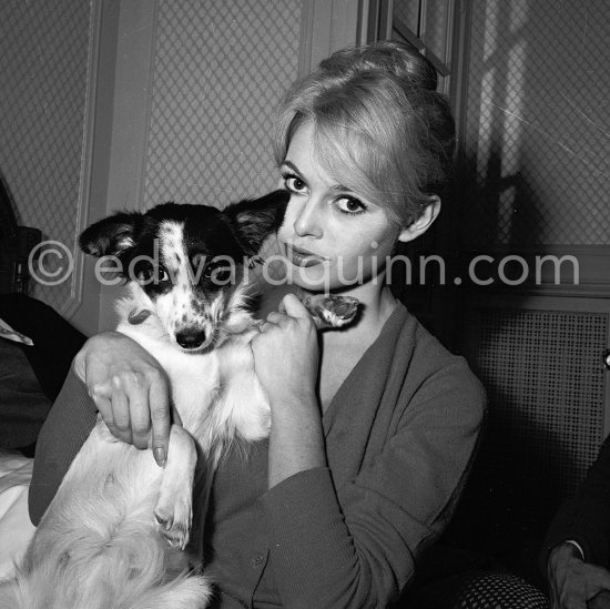 Brigitte Bardot with her mixed breed Guapa at the Hotel Negresco. Nice 1958. - Photo by Edward Quinn