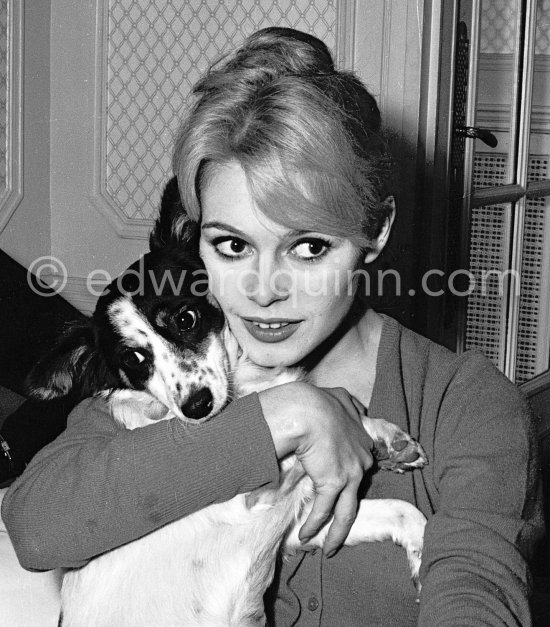 Brigitte Bardot with her mixed breed Guapa at the Hotel Negresco. Nice 1958. - Photo by Edward Quinn