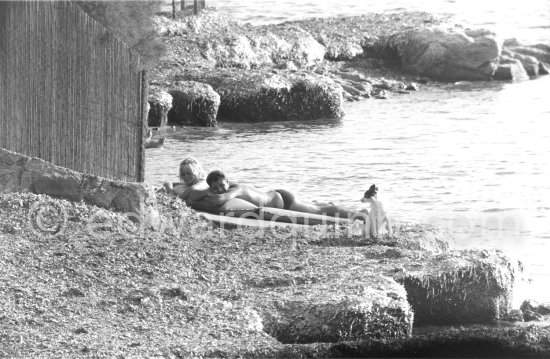 Brigitte Bardot and her dog Guapa with her husband Jacques Charrier near her home "La Madrague". Saint-Tropez 1961. - Photo by Edward Quinn