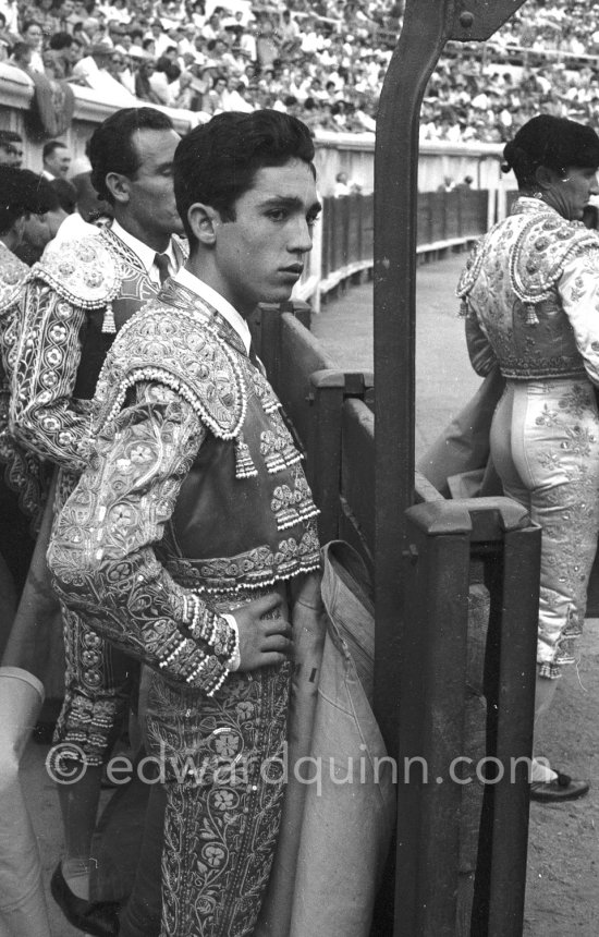 Paco Camino. Bullfight (corrida de toros, tauromaquia), Arles 1960. A bullfight Picasso attended (see "Picasso"). - Photo by Edward Quinn