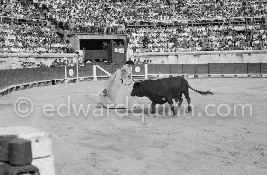 Paco Camino, Nimes 1960. A bullfight Picasso attended (see "Picasso"). - Photo by Edward Quinn