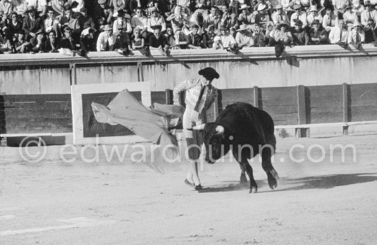 Paco Camino. Bullfight at Nimes 1960. A bullfight Picasso attended (see "Picasso"). - Photo by Edward Quinn