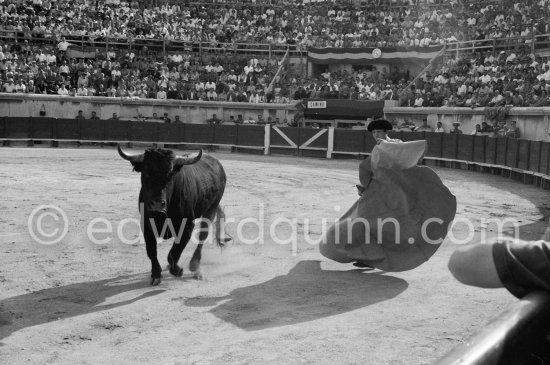 Paco Camino, Nimes 1960. A bullfight Picasso attended (see "Picasso"). - Photo by Edward Quinn