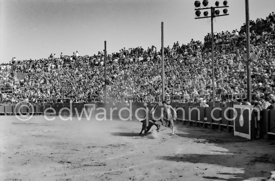 Paco Camino, Fréjus 1965. A bullfight Picasso attended (see "Picasso"). - Photo by Edward Quinn