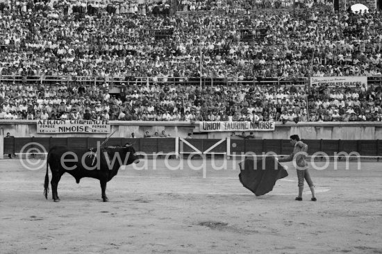 Paco Camino, Nimes 1960. A bullfight Picasso attended (see "Picasso"). - Photo by Edward Quinn