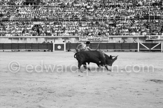 Paco Camino. Nimes 1960. A bullfight Picasso attended (see "Picasso"). - Photo by Edward Quinn