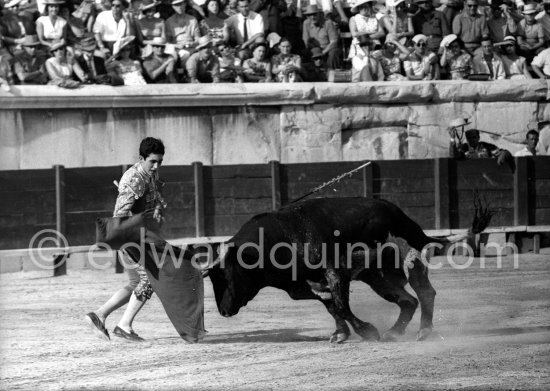 Paco Camino, Nimes 1960. A bullfight Picasso attended (see "Picasso"). - Photo by Edward Quinn