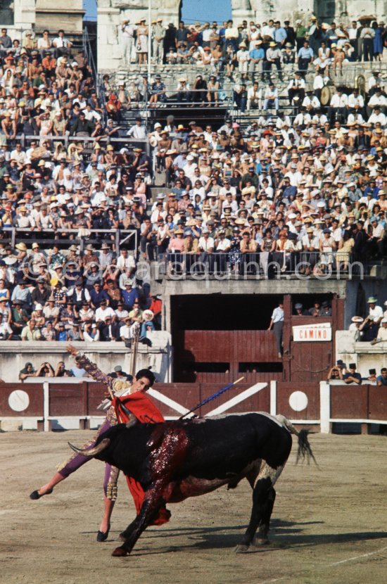 Paco Camino, Nimes 1960. A bullfight Picasso attended (see "Picasso"). - Photo by Edward Quinn