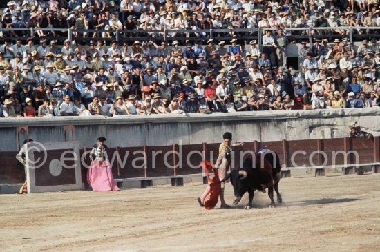 Paco Camino. Nimes 1960. A bullfight Picasso attended (see "Picasso"). - Photo by Edward Quinn