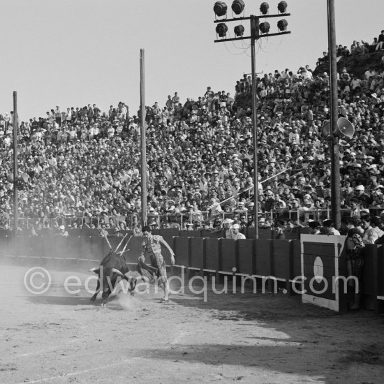 Paco Camino. Fréjus 1965. A bullfight Picasso attended (see "Picasso"). - Photo by Edward Quinn