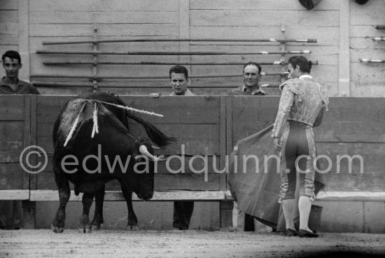 Chamaco. Lances ("piques") on the wall in the background. Corrida des vendanges. Arles 1959. A bullfight Picasso attended (see "Picasso"). - Photo by Edward Quinn