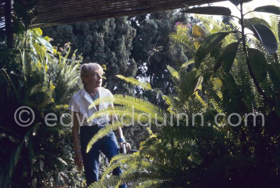 Francine Weisweiller ("Muse of Jean Cocteau") at her Villa Santo Sospir, Saint-Jean-Cap-Ferrat 1985. - Photo by Edward Quinn