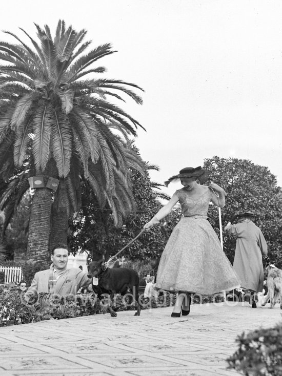 Concours d’élégance, Cannes 1954. - Photo by Edward Quinn