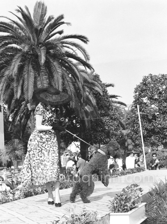 Concours d’élégance, Cannes 1954. - Photo by Edward Quinn