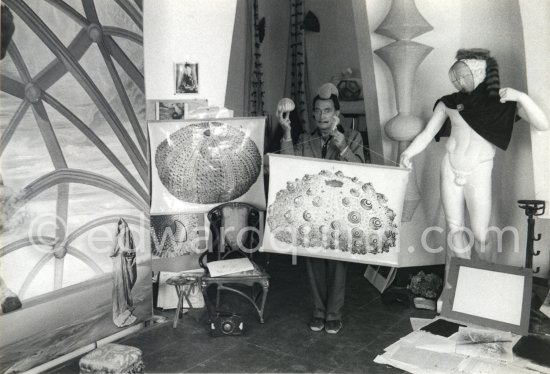 Salavador Salvador Dalí poses with some objects he has used in the study of the "oursin" (sea urchin) to help him in his efforts to obtain a painting done by a sea urchin using a swans's feather or a dry flower in the urchin's mouth. The two display boards show sea urchin fossiles. Portlligat, Cadaqués 1957. - Photo by Edward Quinn