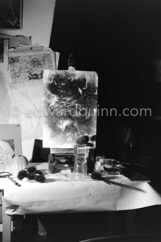 The set up from which Salvador Dalí hopes to obtain the painting, a sea urchin is placed on an overturned inkwell glass and in its mouth ("Aristotle's lantern" which has the movements of a human hand) he puts a swan’s feather or here a light dried up flower. The object is allowed to slightly touch a sheet of blackened paper. The movements then made by the sea urchin are traced on the paper. At Salvador Dalí's house, Portlligat, Cadaqués 1957. - Photo by Edward Quinn
