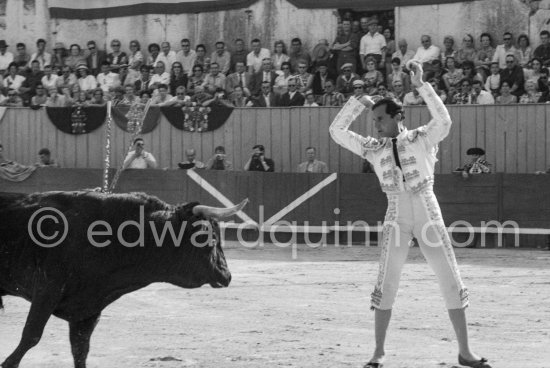 Luis Miguel Dominguin. Corrida Arles 1960. A bullfight Picasso attended (see "Picasso"). - Photo by Edward Quinn