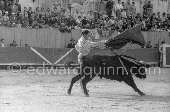 Luis Miguel Dominguin. Corrida Arles 1960. A bullfight Picasso attended (see "Picasso"). - Photo by Edward Quinn