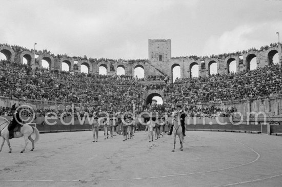 Luis Miguel Dominguin. Arles 1960. A bullfight Picasso attended (see "Picasso"). - Photo by Edward Quinn