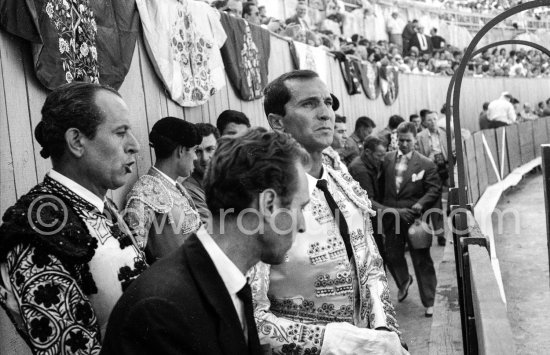 Luis Miguel Dominguin. Arles 1960. A bullfight Picasso attended (see "Picasso"). - Photo by Edward Quinn