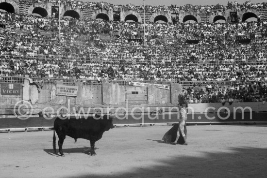 Luis Miguel Dominguin. Arles 1960. A bullfight Picasso attended (see "Picasso"). - Photo by Edward Quinn