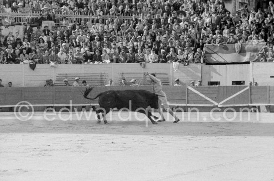 Luis Miguel Dominguin. Arles 1960. A bullfight Picasso attended (see "Picasso"). - Photo by Edward Quinn