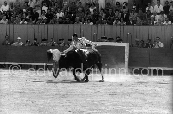 Luis Miguel Dominguin. Arles 1960. A bullfight Picasso attended (see "Picasso"). - Photo by Edward Quinn