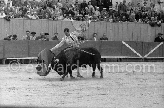 Luis Miguel Dominguin. Arles 1960. A bullfight Picasso attended (see "Picasso"). - Photo by Edward Quinn