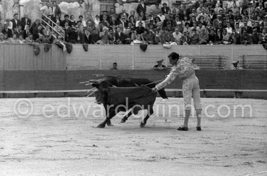 Luis Miguel Dominguin. Arles 1960. A bullfight Picasso attended (see "Picasso"). - Photo by Edward Quinn