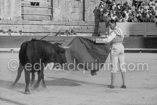 Luis Miguel Dominguin. Arles 1960. A bullfight Picasso attended (see "Picasso"). - Photo by Edward Quinn