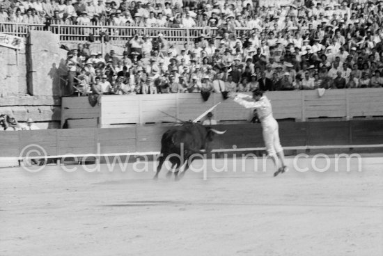 Luis Miguel Dominguin. Arles 1960. A bullfight Picasso attended (see "Picasso"). - Photo by Edward Quinn