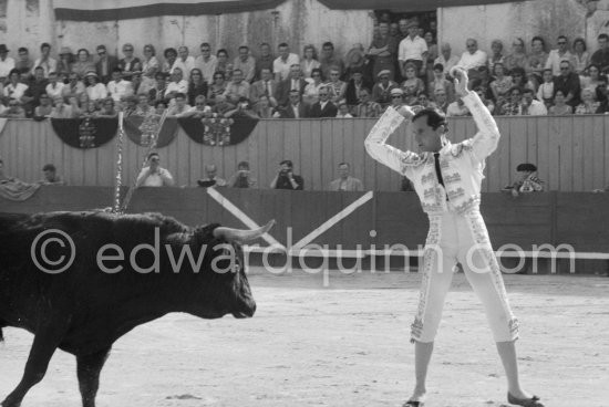 Luis Miguel Dominguin. Arles 1960. A bullfight Picasso attended (see "Picasso"). - Photo by Edward Quinn