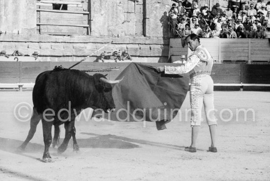 Luis Miguel Dominguin. Arles 1960. A bullfight Picasso attended (see "Picasso"). - Photo by Edward Quinn