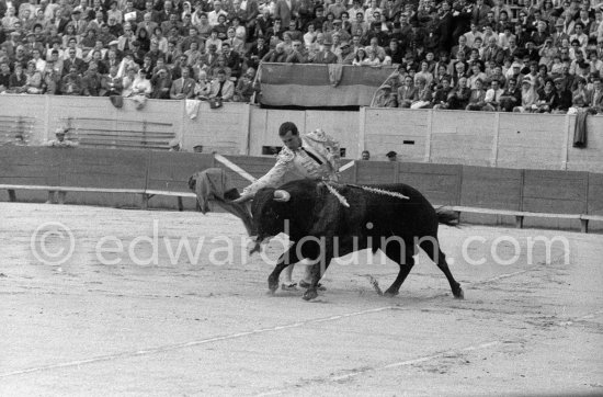 Luis Miguel Dominguin. Arles 1960. A bullfight Picasso attended (see "Picasso"). - Photo by Edward Quinn