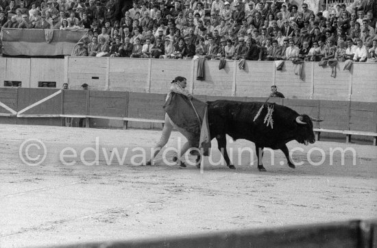 Luis Miguel Dominguin. Arles 1960. A bullfight Picasso attended (see "Picasso"). - Photo by Edward Quinn