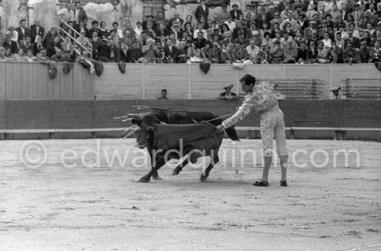 Luis Miguel Dominguin. Arles 1960. A bullfight Picasso attended (see "Picasso"). - Photo by Edward Quinn