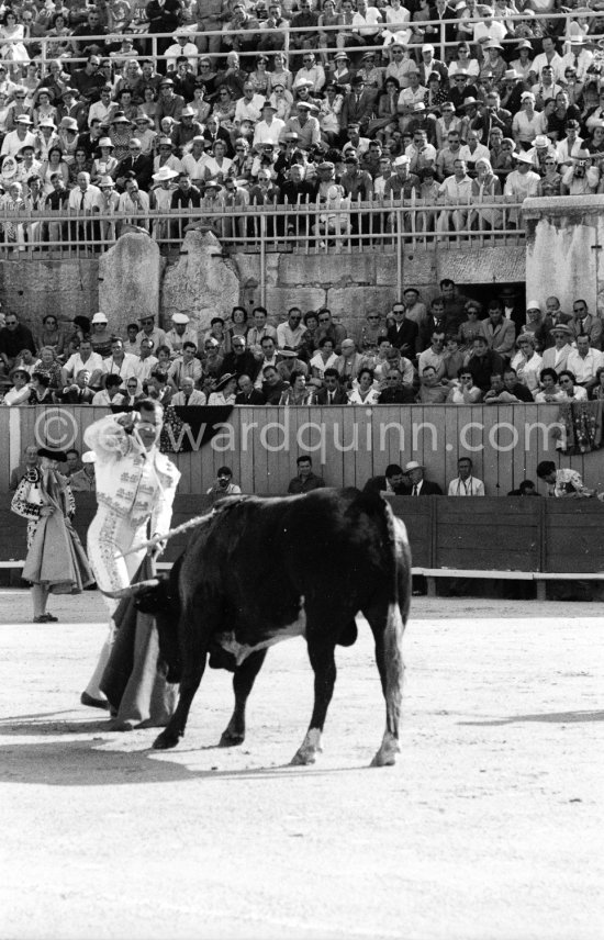 Luis Miguel Dominguin. Arles 1960. A bullfight Picasso attended (see "Picasso"). - Photo by Edward Quinn