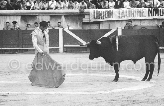 Luis Miguel Dominguin. Corrida Nimes 1960. A bullfight Picasso attended (see "Picasso"). - Photo by Edward Quinn