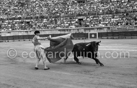 Luis Miguel Dominguin. Nimes 1960. A bullfight Picasso attended (see "Picasso"). - Photo by Edward Quinn